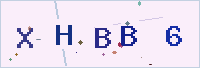 보안 문자